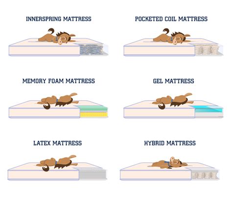How long is a mattress good for. Things To Know About How long is a mattress good for. 